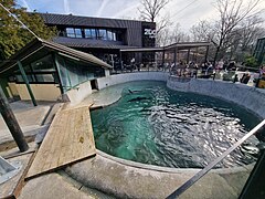 Sea Lion pool