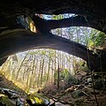 Image 38The Natural Bridge Rock in Winston County is the longest natural bridge east of the Rockies. (from Alabama)