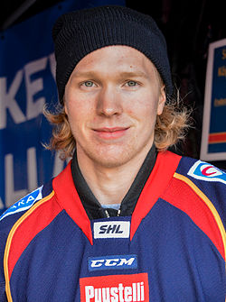 Nicklas Heinerö in 2015.jpg