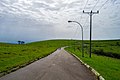 Roadway on Obudu Plateau