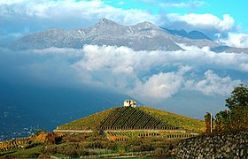 Vignobles des Crêtes (Aymavilles)