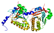 DMC1, involved in meiosis