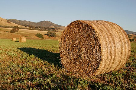 Round hay bale at dawn at Baler by Fir0002