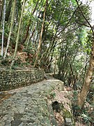 A stony path in front of Gaoming Temple.