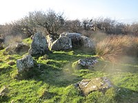 Court Tomb