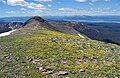 Summit of Avalanche Peak