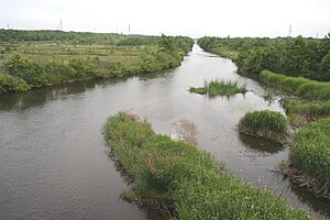 勇払川 2012年6月30日撮影