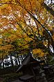 三峰神社・摂末社