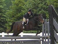 Bella Beane (’97-’07) thoroughbred mare