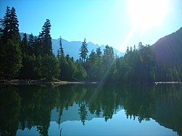 Pine trees lining the shore of a small, clear lake with a mountain in the background