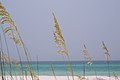 The coast of Walton County is fringed by emerald Gulf waters.