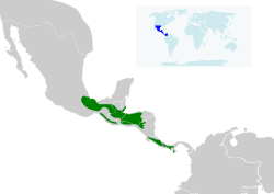 Distribución de C. hemileucurus