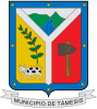 Official seal of Támesis, Antioquia