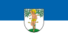 Flag of Blieskastel