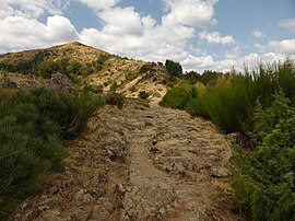 A view near the summit of the Serre de Borgne