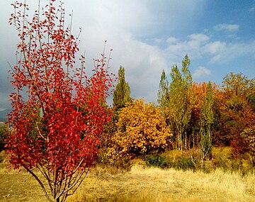 پاییز در سربیژن_مهرماه ۹۷