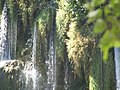 Kravica symbiosis - tufa overgrown with moss helps accumulate more tufa