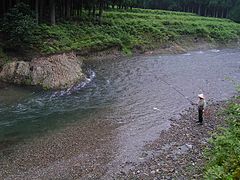 桂川上流域：普⃝