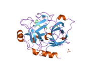 1zlr: Factor XI catalytic domain complexed with 2-guanidino-1-(4-(4,4,5,5-tetramethyl-1,3,2-dioxaborolan-2-yl)phenyl)ethyl nicotinate