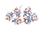 2j0h: L-FICOLIN COMPLEXED TO ACETYL-CHOLINE