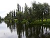 Part of the Xochimilco Ecological Reserve