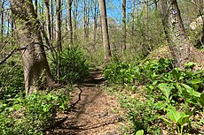 The Patriots' Path by the Black River near the Elizabeth D. Kay Environmental Center