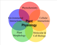 植物生理学的五大研究方向