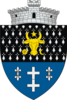 Coat of arms of Putna