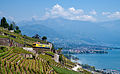 Vue de Lavaux et de la Riviera vaudoise.