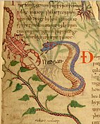 "Scorpion and snake fighting", Anglo-Saxon Herbal, c. 1050