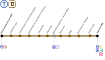 Ligne 16