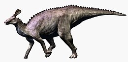 Художня реконструкція Tsintaosaurus