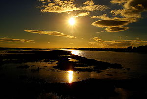 La Ria Formosa, Albufeira