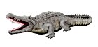 Crocodylus anthropophagus
