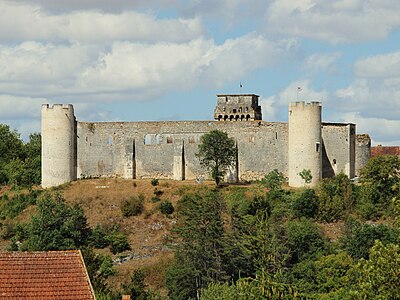 Ruins of the castle of Druyes-les-Belles-Fontaines (about 1200)