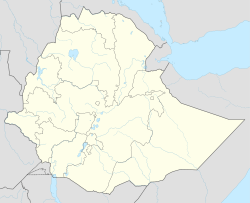 Bonga is located in Ethiopia