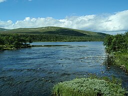 Grövelsjön, juli 2013