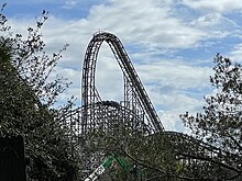 A view of the lift hill and downward barrel roll structure of Iron Gwazi. The roller coaster is central, with foliage surrounding the roller coaster in the foreground. The picture was taken from the Lory Landing area.