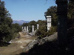 Chemin de croix, en direction de la chapelle ND de Vie.