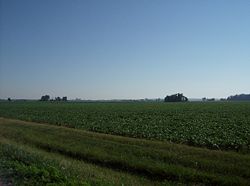 Farm fields in Marion Township