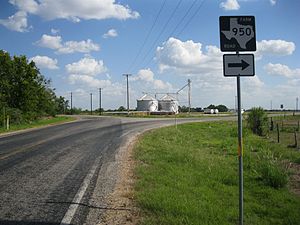 FM 102 intersects with FM 950 at Matthews.