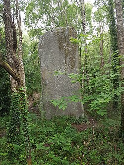 Image illustrative de l’article Menhir de Lann-ar-Peulven