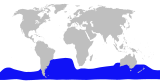 Aire de répartition du Mésoplodon d'Andrews