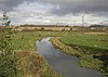 Bowthorpe Marsh