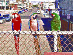 Simulated image as displayed using Tandy Video I / PCjr 640 × 200 mode with 4 colors