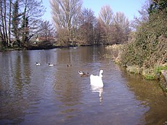 The millpond at Glandford