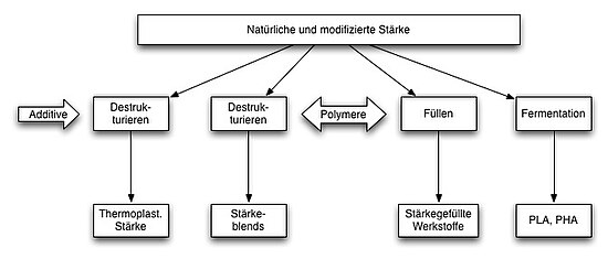 Herstellung von Biopolymeren auf Stärkebasis