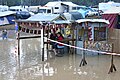 Gympie Muster in Australia