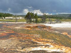 Importants regroupements de bactéries près de Grand Prismatic Spring.