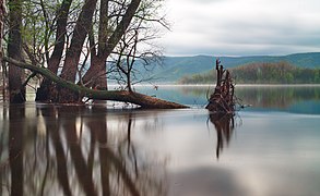 Freshet on Volga River within the park